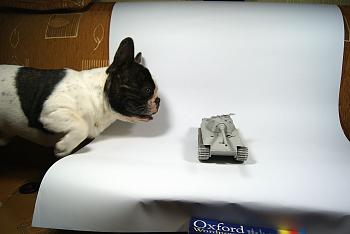 Click image for larger version

Name:	DSC07050a.jpg
Views:	3168
Size:	17.9 KB
ID:	6635