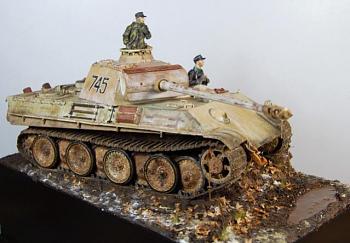 Click image for larger version

Name:	DSC_0014 s.jpg
Views:	2724
Size:	40.3 KB
ID:	5145