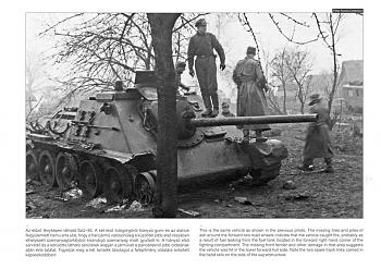 Click image for larger version

Name:	sample01.jpg
Views:	643
Size:	97.8 KB
ID:	9003