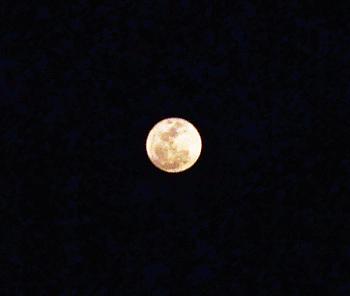 Click image for larger version

Name:	smoon00.jpg
Views:	378
Size:	71.9 KB
ID:	3956