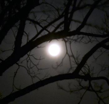 Click image for larger version

Name:	smoon01.JPG
Views:	357
Size:	113.3 KB
ID:	3957