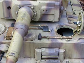 Click image for larger version

Name:	tiger hatch.jpg
Views:	577
Size:	90.5 KB
ID:	6577